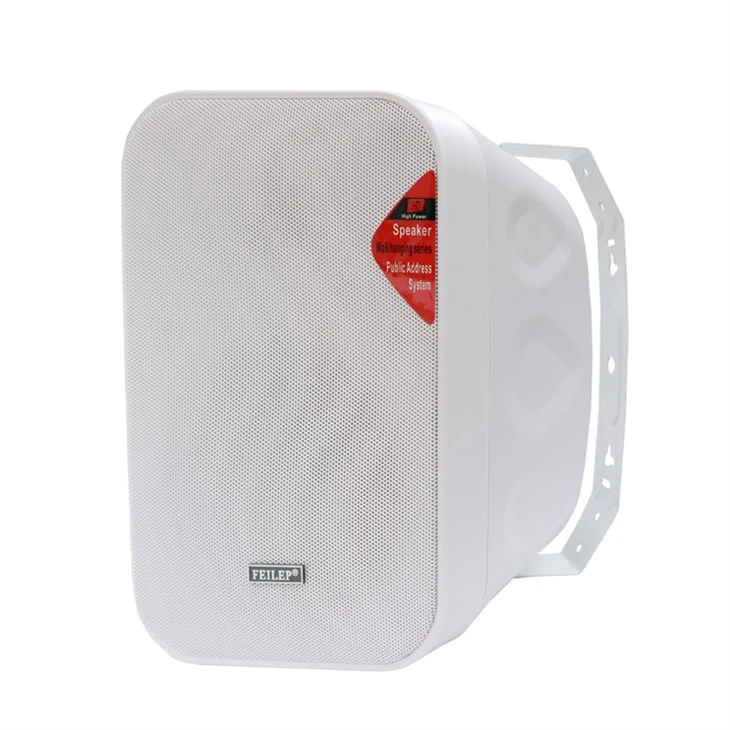 Waterproof Surface Mount Speakers